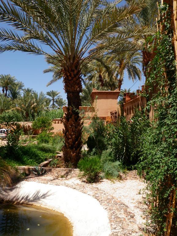 אגדז Ecolodge Bab El Oued Maroc Oasis מראה חיצוני תמונה