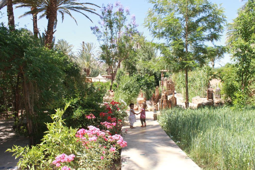 אגדז Ecolodge Bab El Oued Maroc Oasis מראה חיצוני תמונה