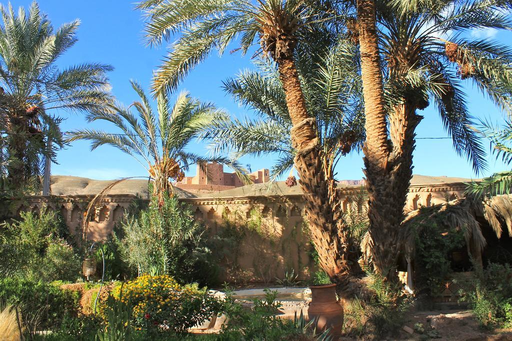 אגדז Ecolodge Bab El Oued Maroc Oasis מראה חיצוני תמונה