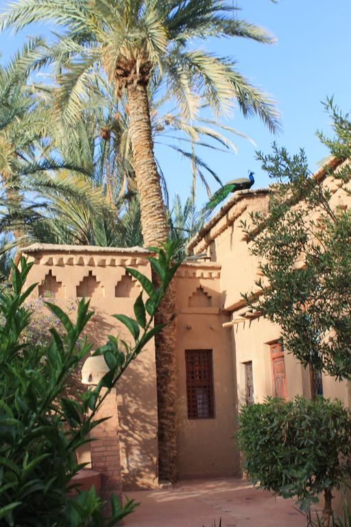 אגדז Ecolodge Bab El Oued Maroc Oasis חדר תמונה