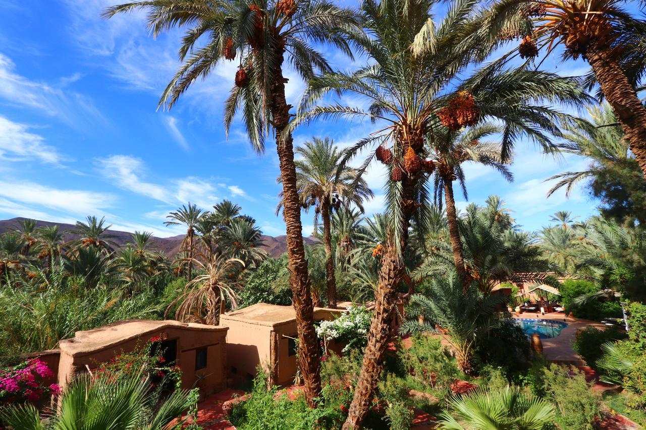 אגדז Ecolodge Bab El Oued Maroc Oasis מראה חיצוני תמונה