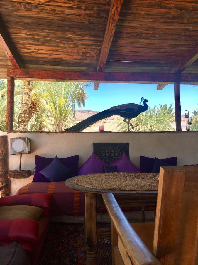 אגדז Ecolodge Bab El Oued Maroc Oasis מראה חיצוני תמונה