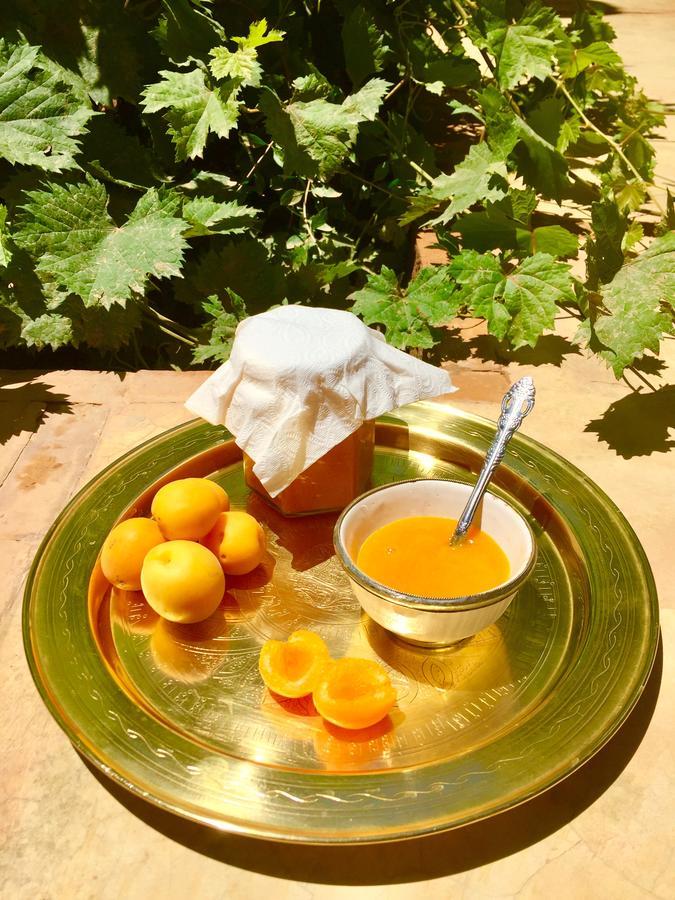 אגדז Ecolodge Bab El Oued Maroc Oasis מראה חיצוני תמונה