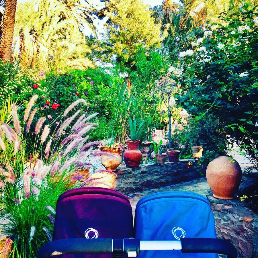 אגדז Ecolodge Bab El Oued Maroc Oasis מראה חיצוני תמונה